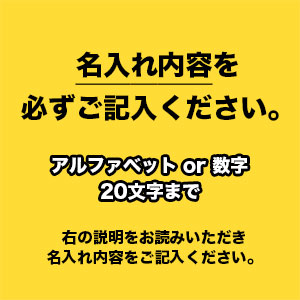 【受注生産】2026卒業入学記念メタルグラフィ<名入れ>｜早稲田グッズ