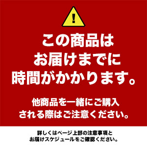 【受注生産】2024卒業入学記念モバイルバッテリー<名入れ>｜早稲田グッズ