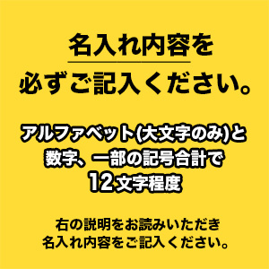 【受注生産】2024卒業入学記念Tシャツ<名入れ>｜早稲田グッズ