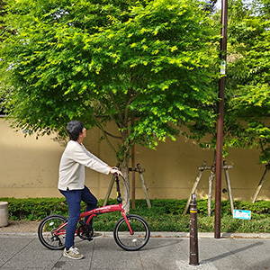 オリジナルデザイン折りたたみ自転車｜早稲田グッズ