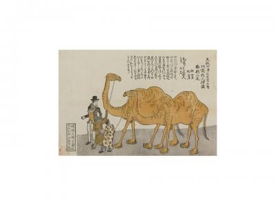 「駱駝図」ポストカード｜早稲田グッズ