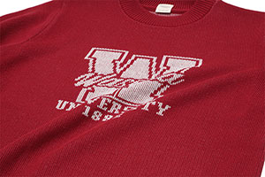 カレッジニット｜早稲田グッズ