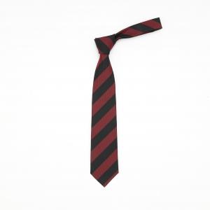 エコネクタイ(レジメンタルストライプ)｜早稲田グッズ