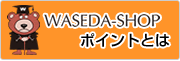 ポイントとは